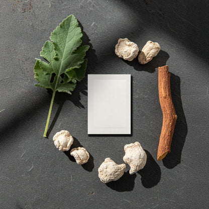 KUBOZN® Targeted Lung Cleansing Patch;End cough and chest tightness caused by smoking: Activate your lungs' self-cleaning mechanism and regain the freedom to breathe.